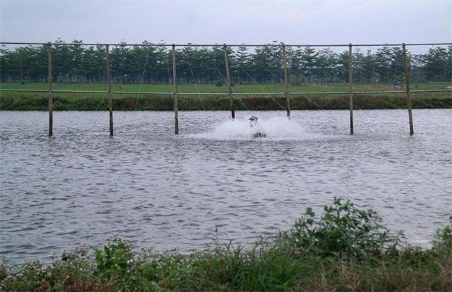 魚塘水質(zhì)檢測儀